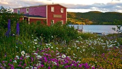 Xl Canada Newfoundland Trinity Artisan Inn Flowers