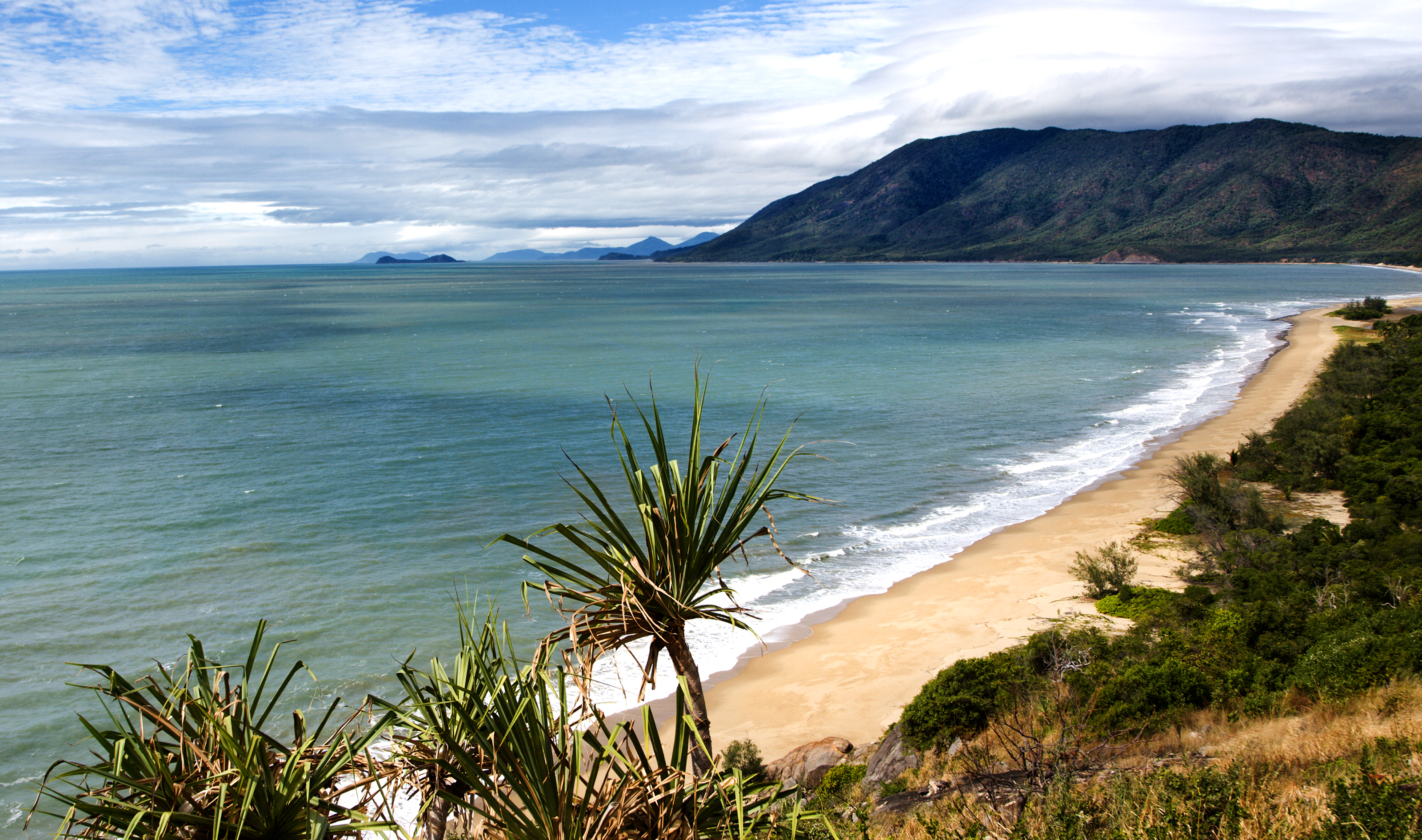 Xl Australia Cairns Northern Beaches Beach Palms
