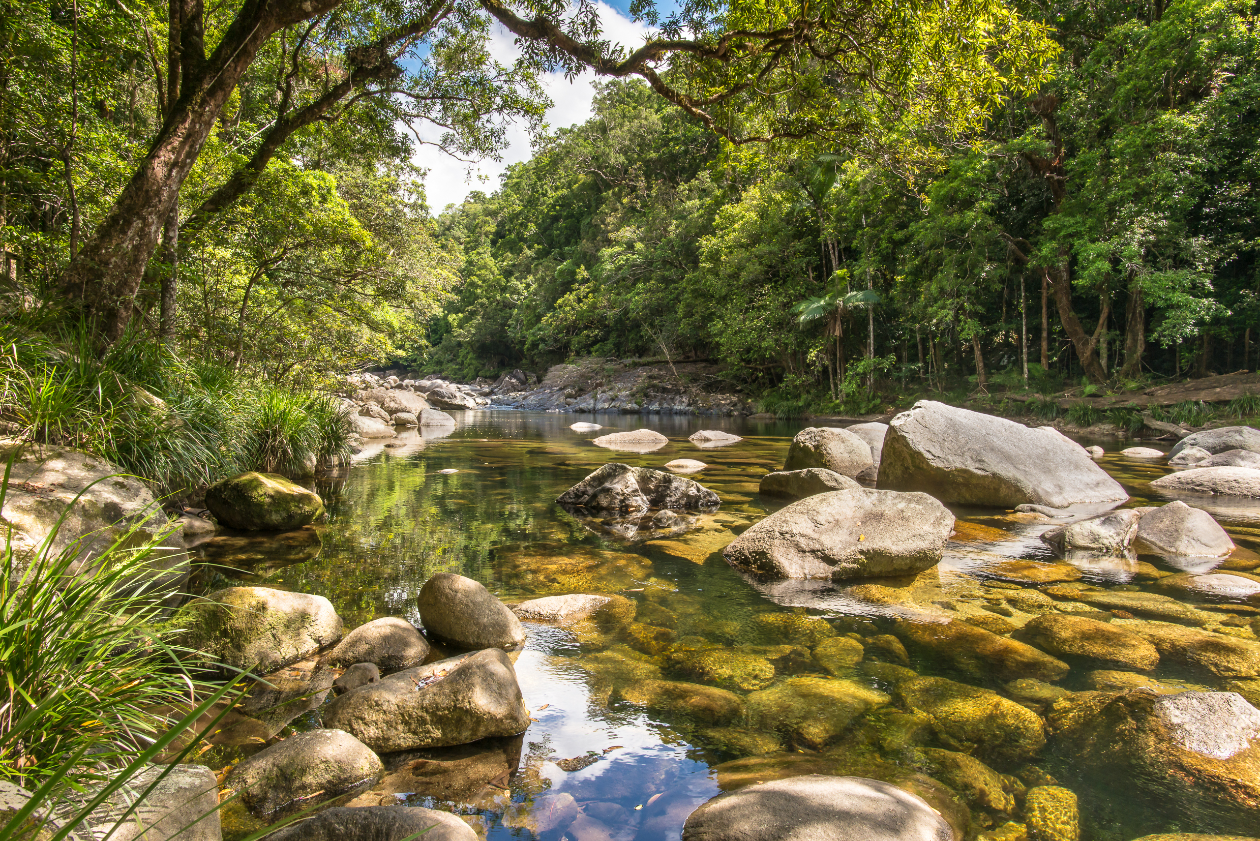 Xl Australia Queensland Daintree National Park Mossman Gorge Mossman River