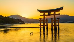 Xl Japan Hiroshima Miyajima Island Torii Arch Deer Sunset