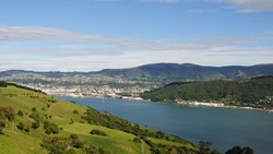 XL Dunedin Peninsula View New Zealand Lookout