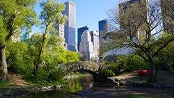 Xl New York Central Park Bridge River Manhattan Buildings