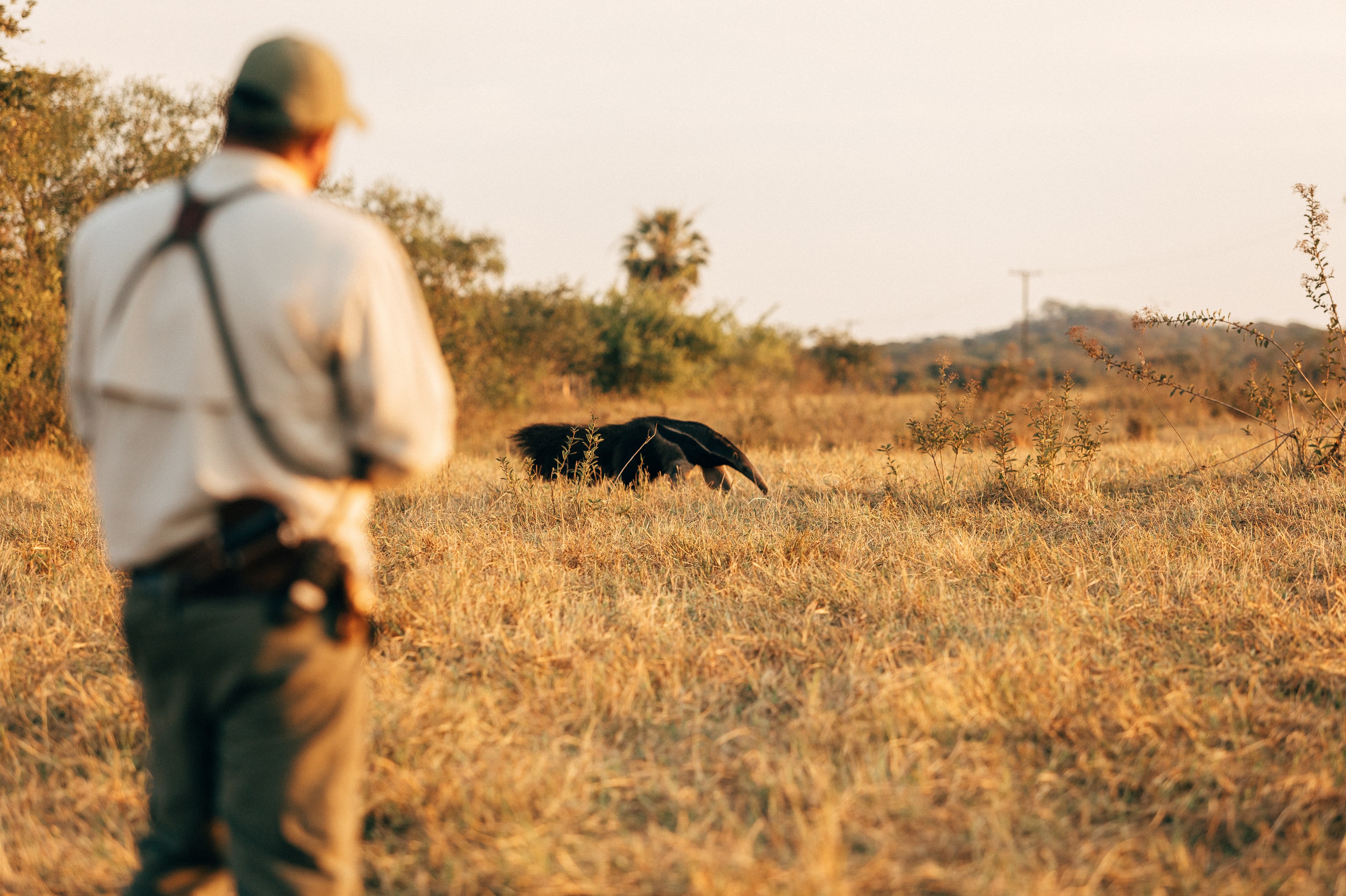 XL Brasilien Caiman Safari Man