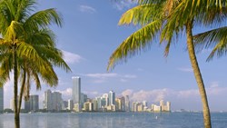 Xl Florida Miami Bayfront Skyline Sunny Day Palmtrees USA