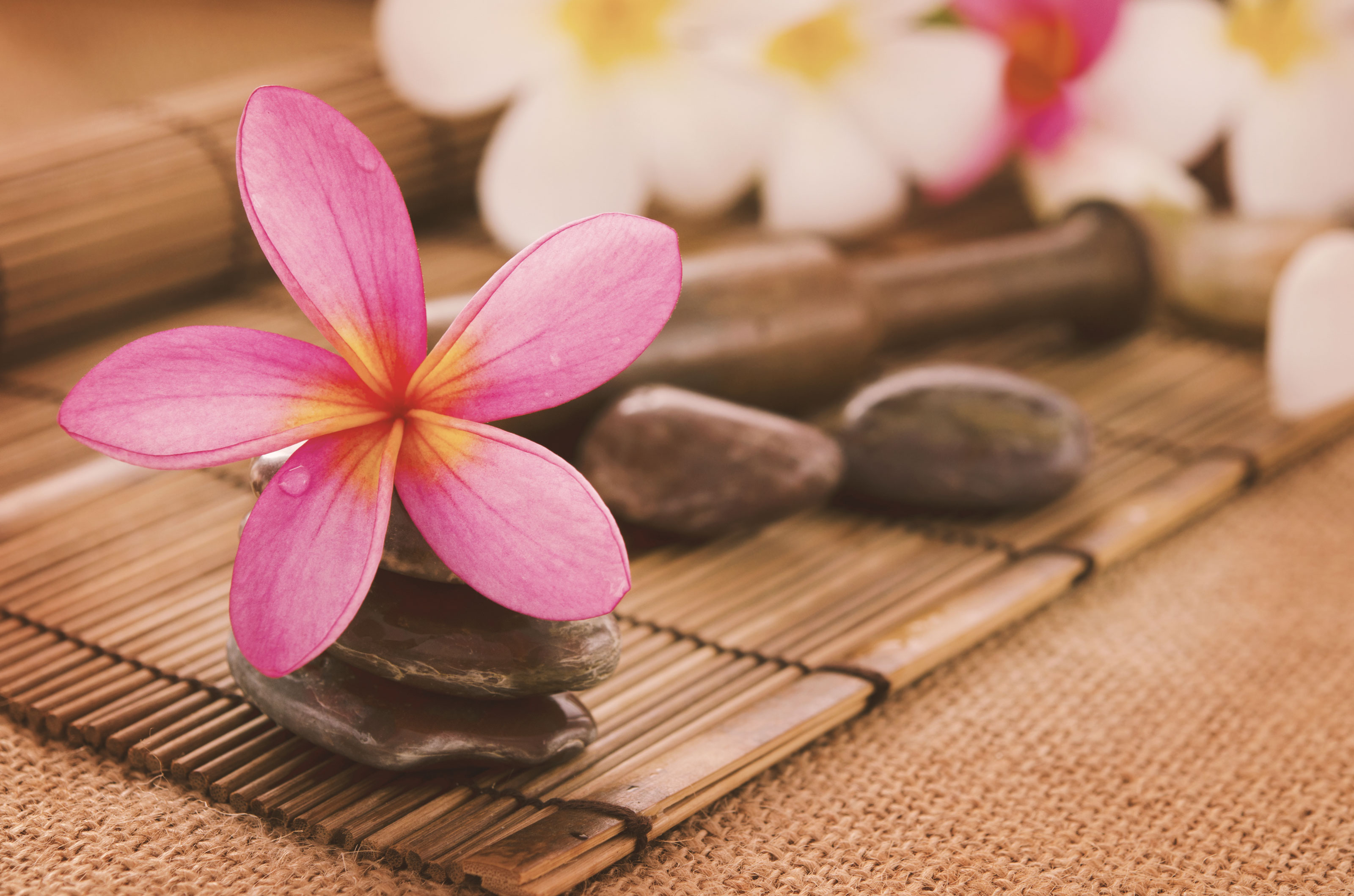 Xl Spa Element Flower