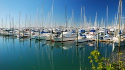 XL Auckland City Of Sails New Zealand Boats Harbour