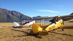XL New Zealand Tiger Moth Airplanes