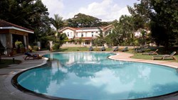 Xl Kenya Nairobi House Of Waine Swimming Pool