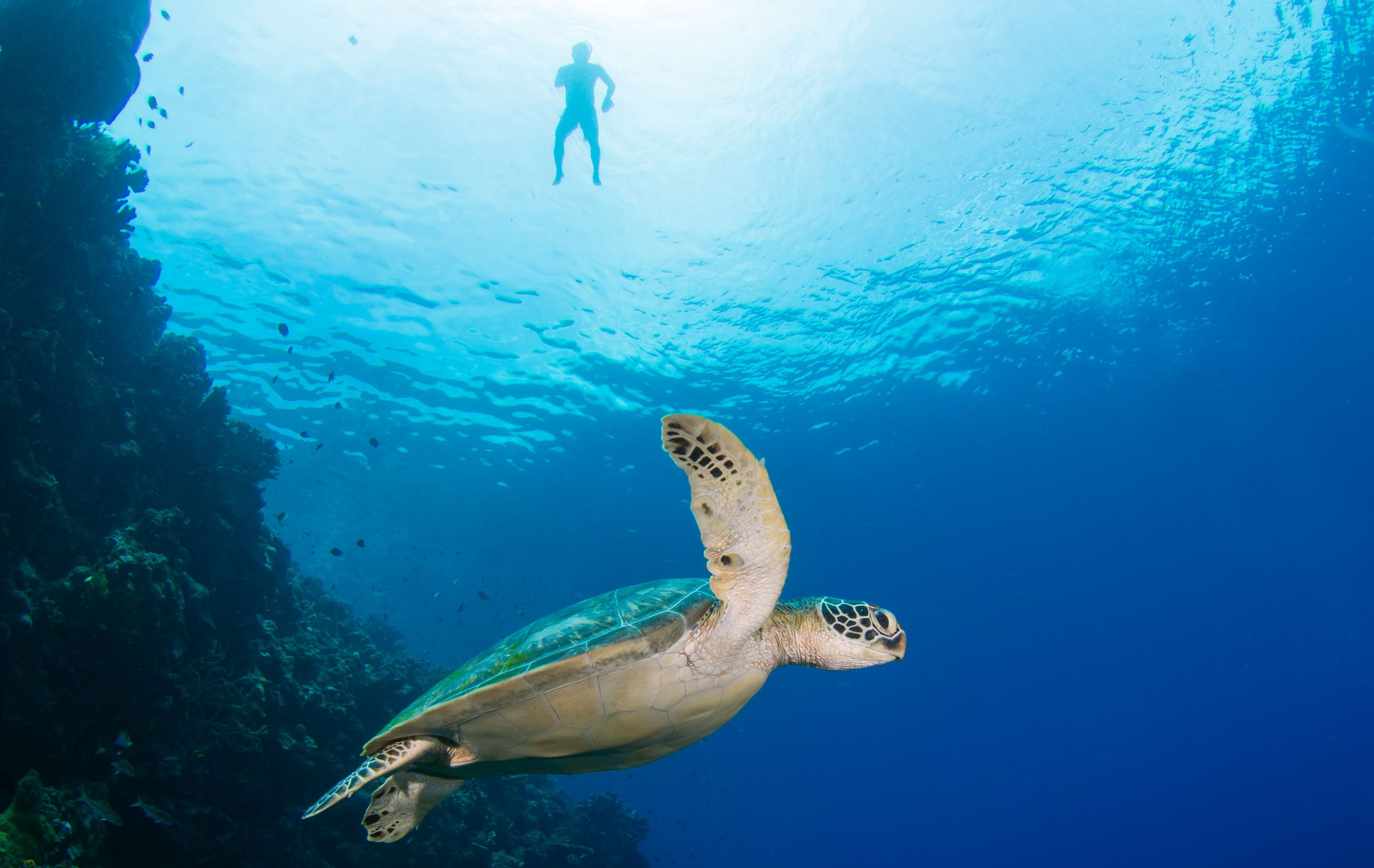 XL Indonesia Sulawesi Bunaken Snorkling And Diving2