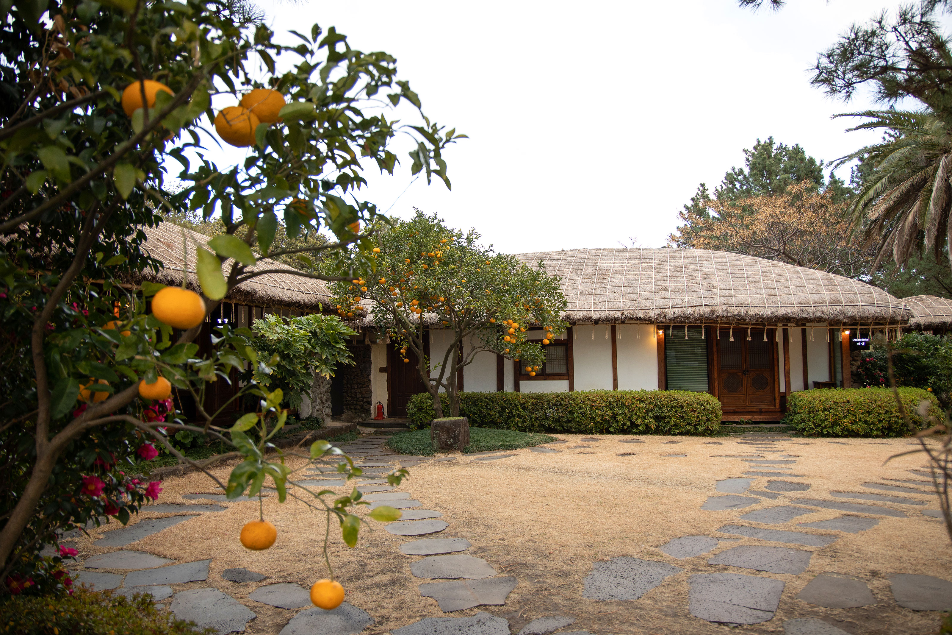 XL South Korea The Seaes Hotel & Resort Hadang Room