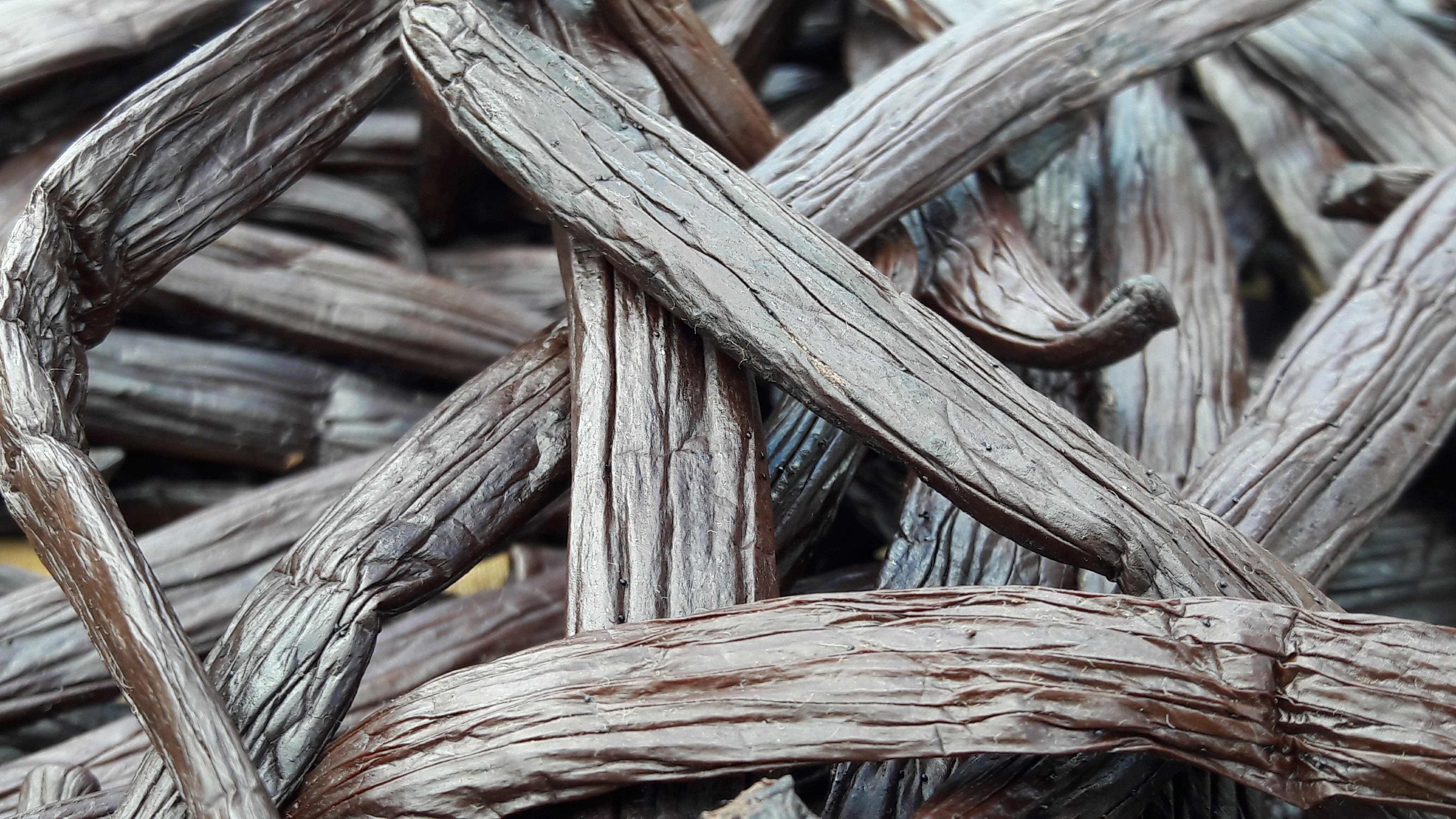 XL French Polynesia Tahaa Vanilla Beans