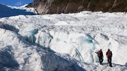 XL Hikers Fox Glacier New Zealand Snow People Nature