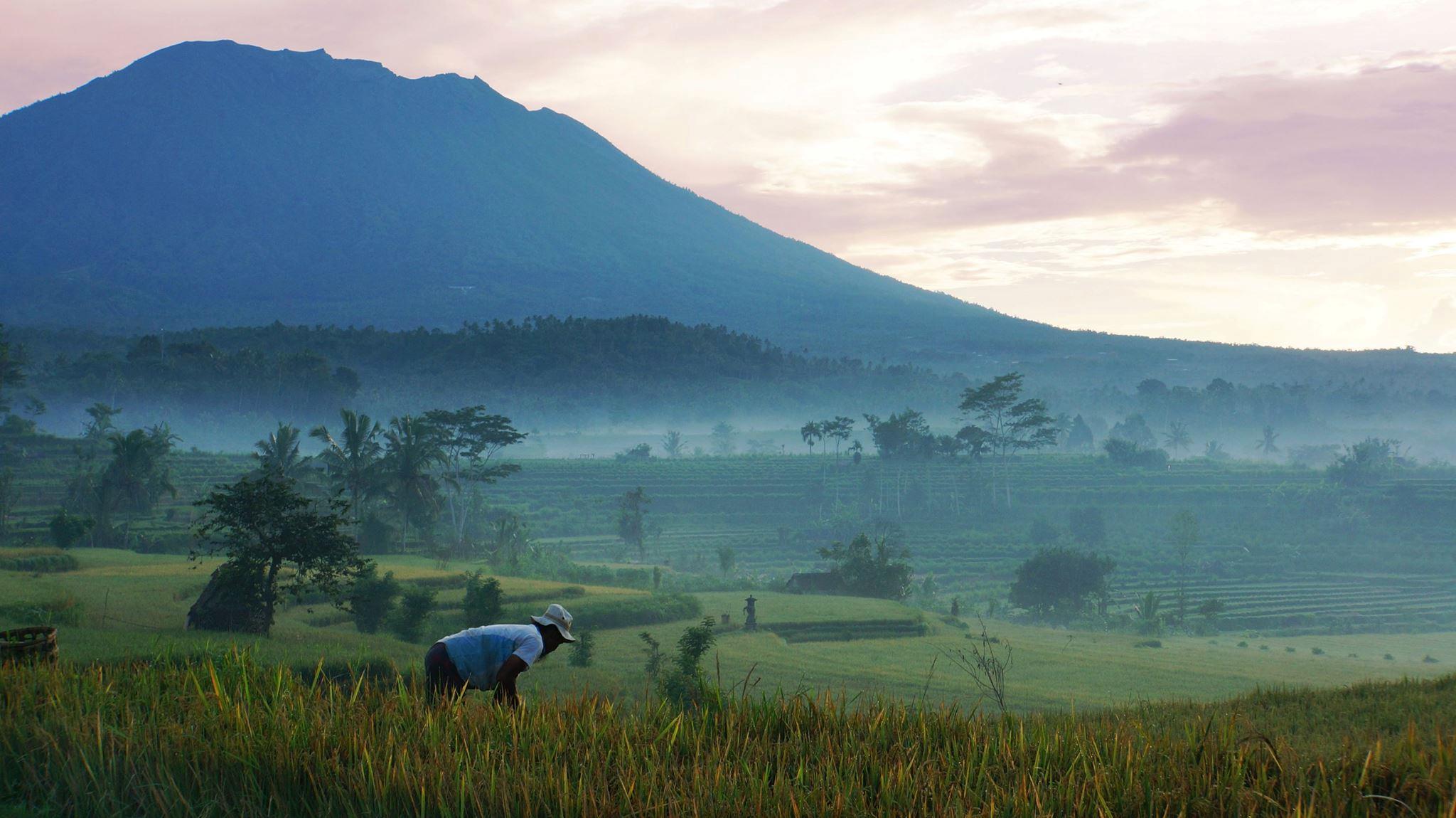 Xl Indonesia Bali Sidemen Valley Samanvaya Resort Dawn