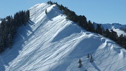 XL USA Utah Alta Snowbird Easter Egg Bowl Powder Snow Park City Skiing