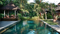 XL Bali Tandjung Sari Sanur Pool
