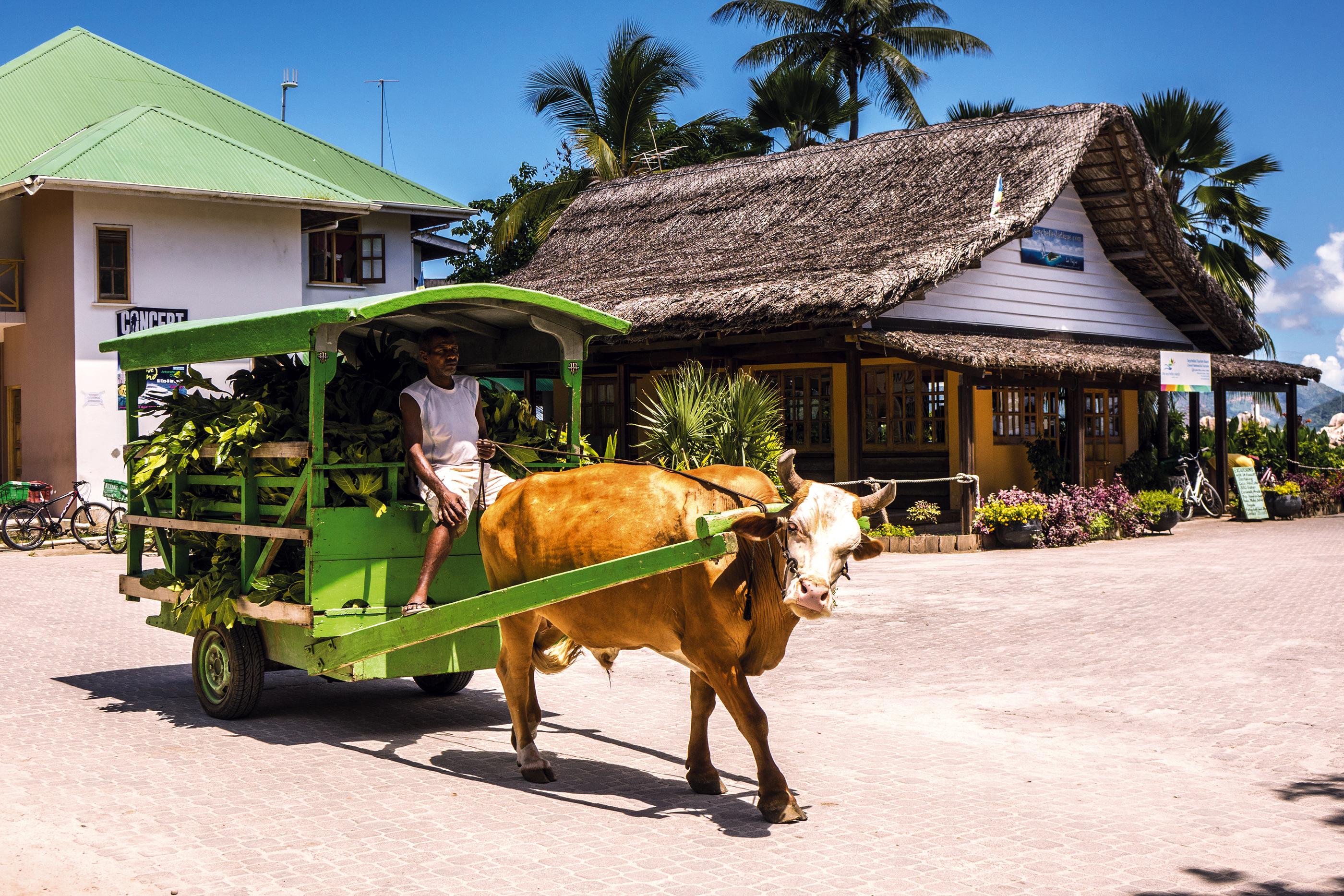 XL Seychelles Escape To La Digue (1)