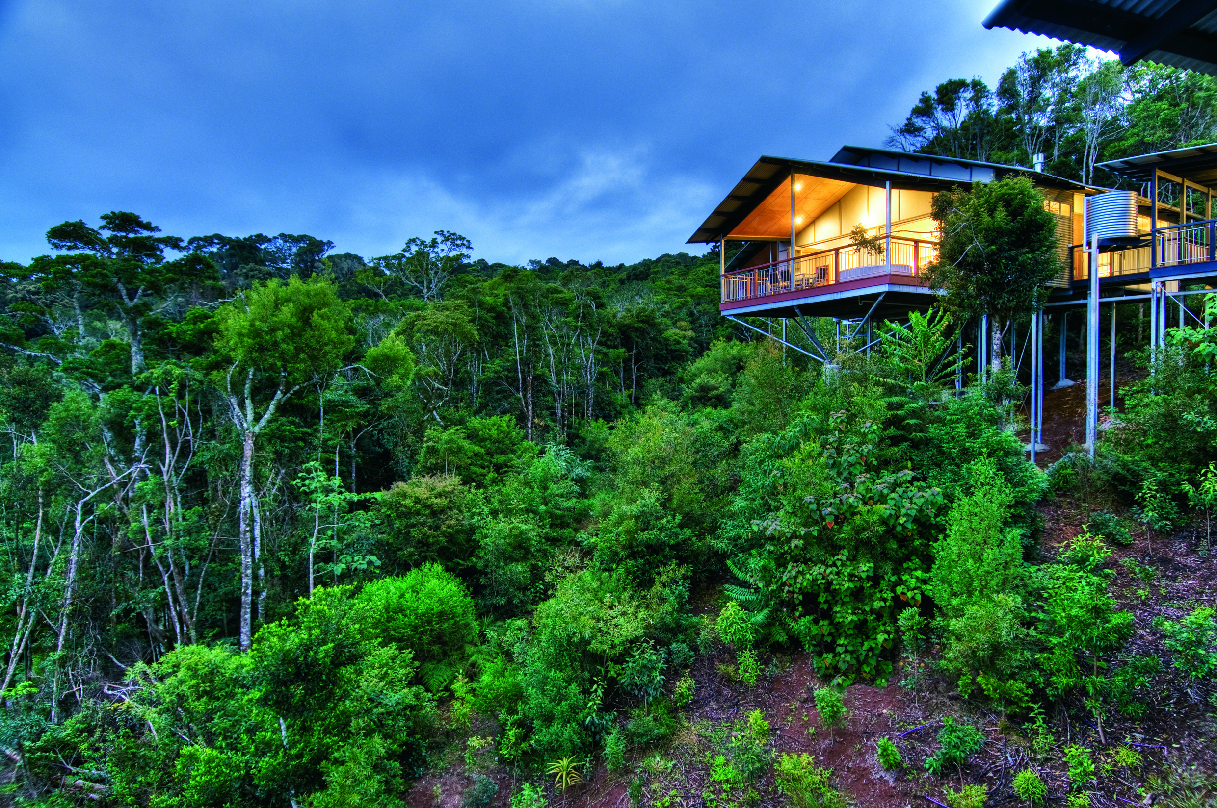 Xl Australia O'reilly's Rainforest Retreat Q Mountain Villa Exterior