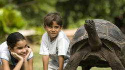 Small Seychelles Hotel North Island Kids And Turtle
