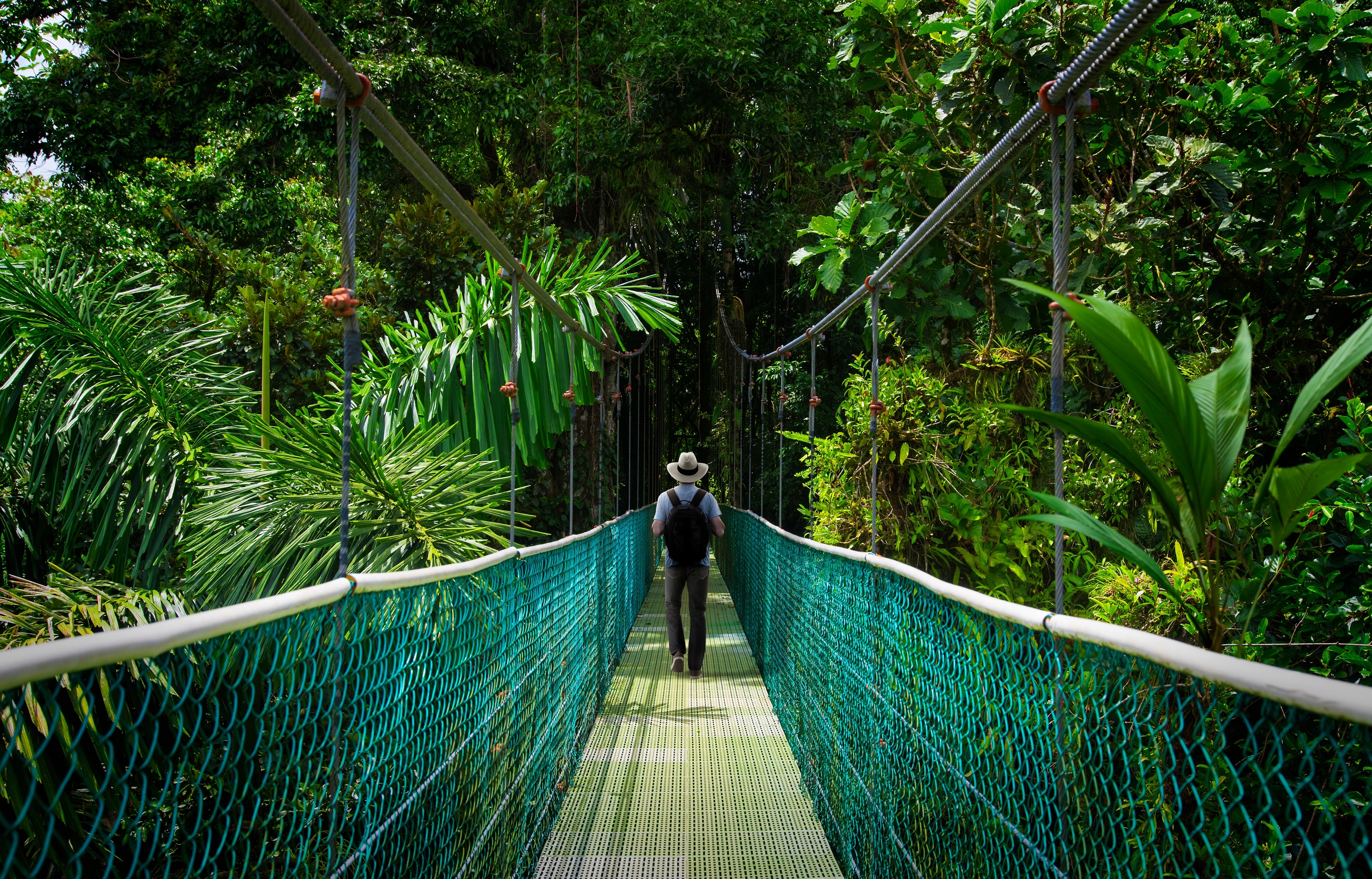 XL Costa Rica Cloud Forest Monteverde Canopy Walk Skywalk