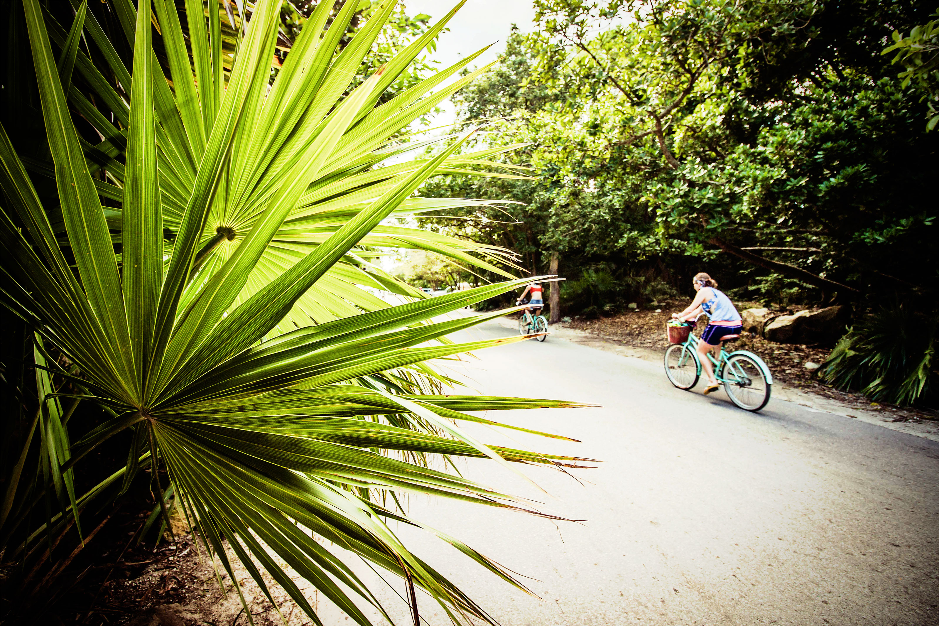 Xl Mexico Yucatan Tulum Bike