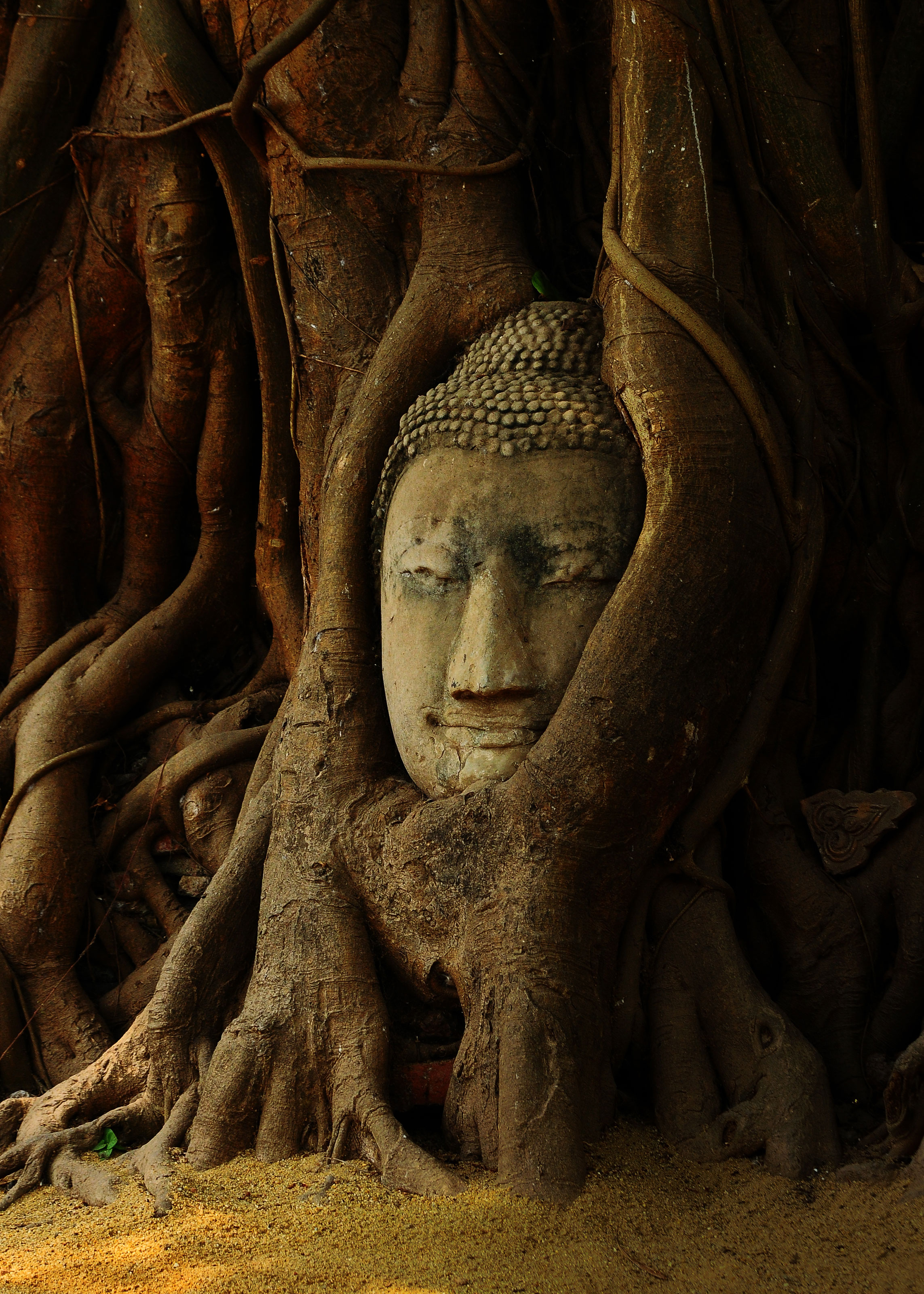 Shutterstock 328960073