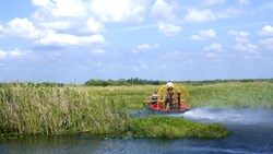 XL USA Florida Everglades Airboat In National Preserve