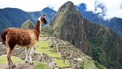 XL Peru Machu Picchu Ancient Inca Lost City