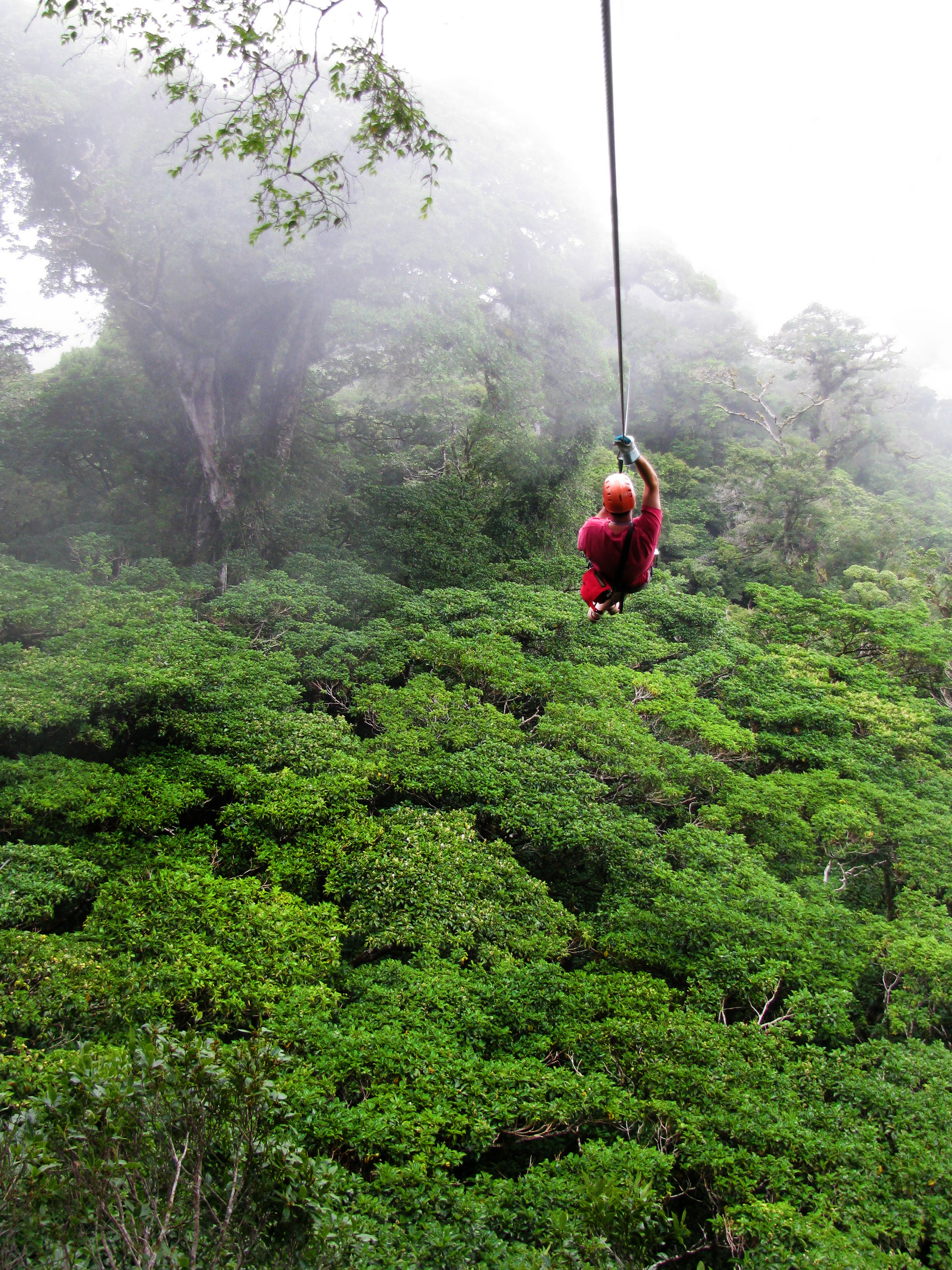 A Man Ziplines Through The Cloud Forest Of Monteverde, Costa Rica