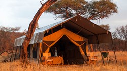 XL Tanzania Serengeti Kati Kati Tent