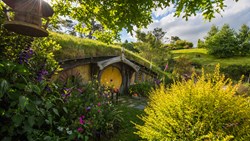 Xl New Zealand Hobbiton Movie Set Tour Hobbit Hole Day