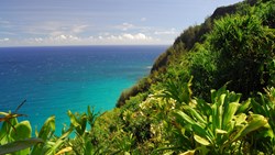 Xl Hawaii Kauai View To Na Pali Coast Sea Nature