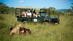 Xl Tanzania Lodge Andbeyond Kleins Camp Serengeti Safari Jeep Lion
