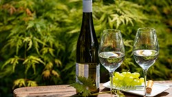 XL Blog Wine