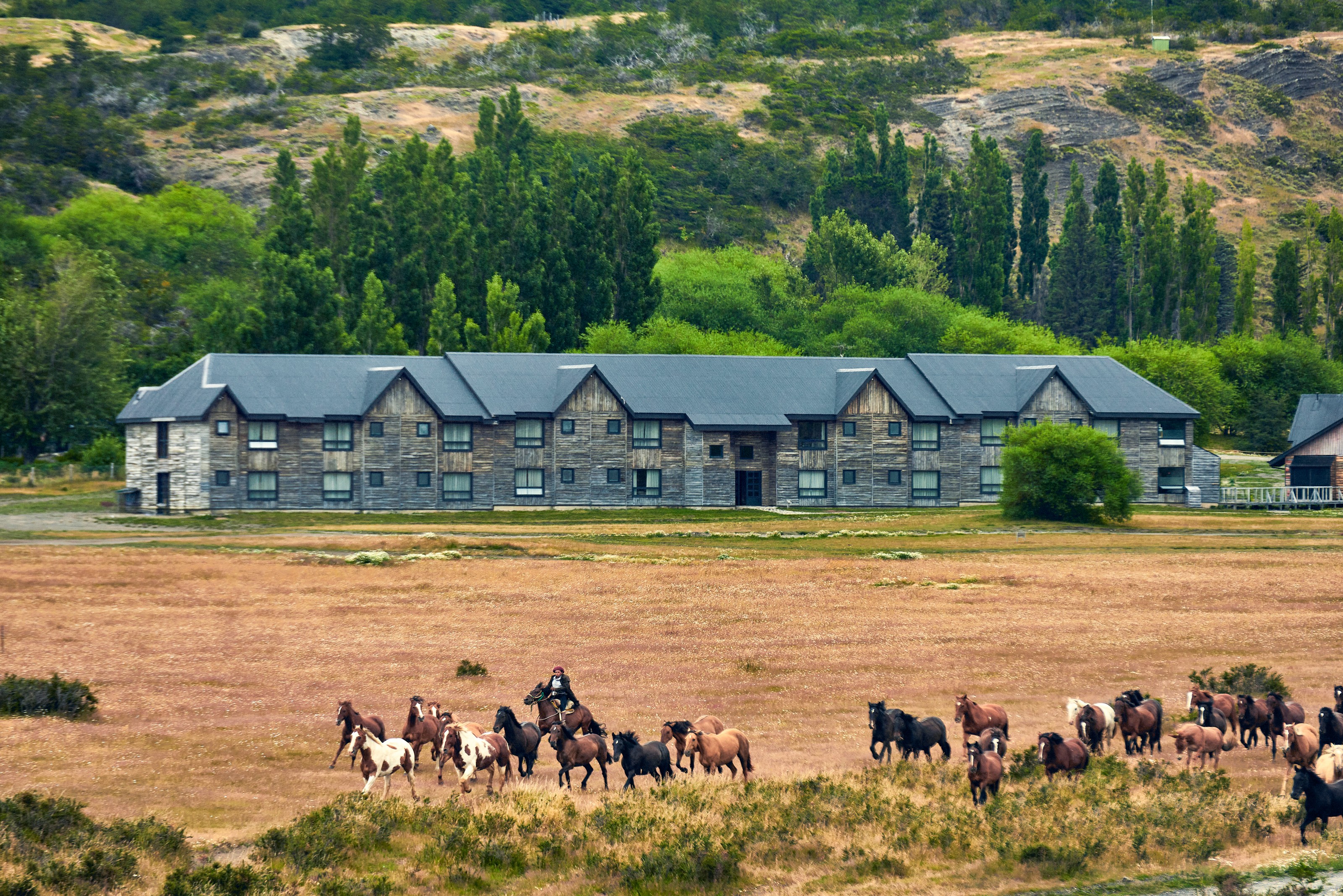 XL Chile Hotel Las Torres Hotel Exterior And Horseback Riding