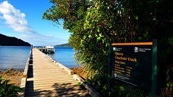 Xl New Zealand Queen Charlotte Track Cove Catamaran