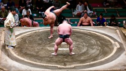 Xl Japan Tokyo Sumo Training Wrestling