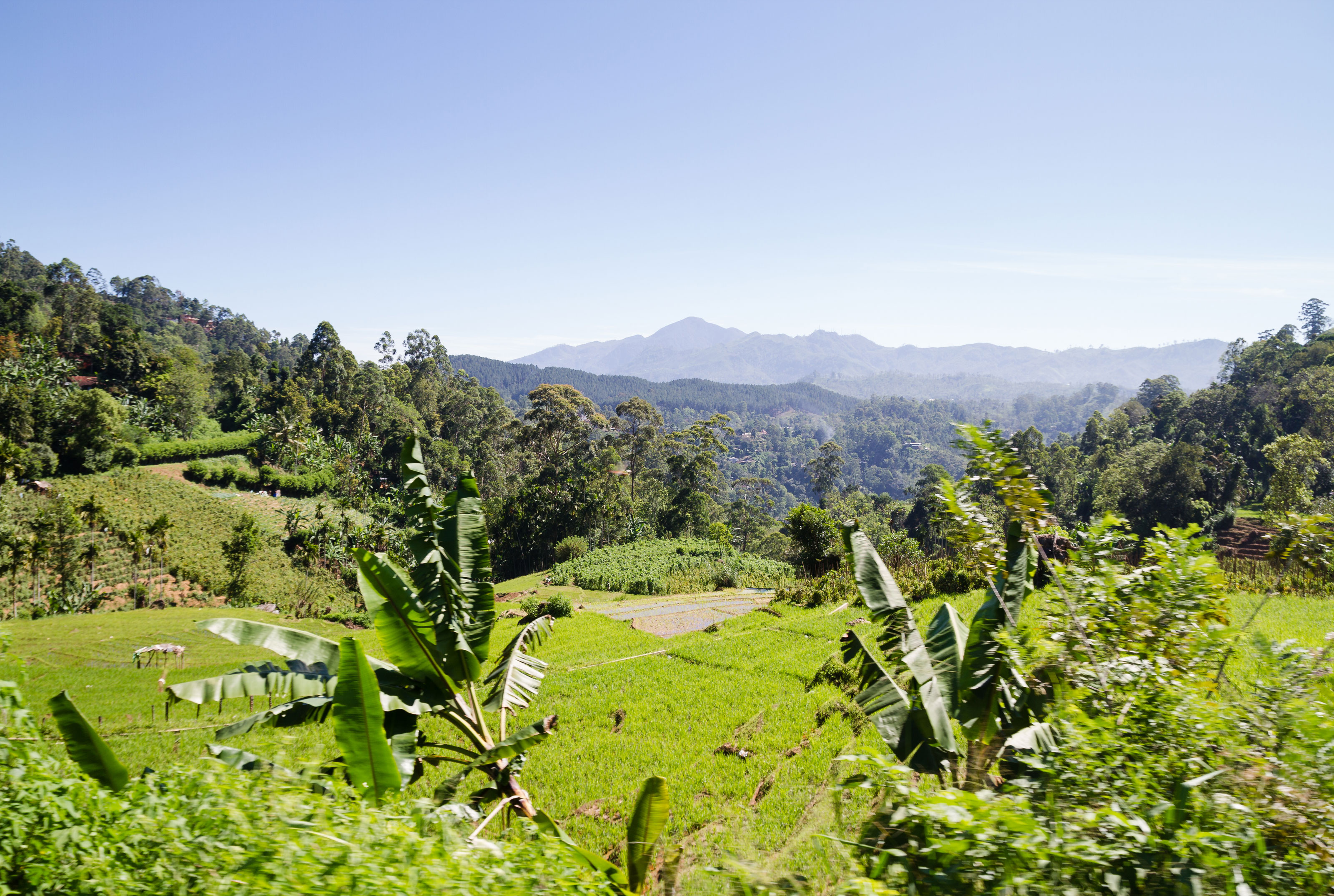 Xl Sri Lanka Ella Mountains Round Ella Cap Nature