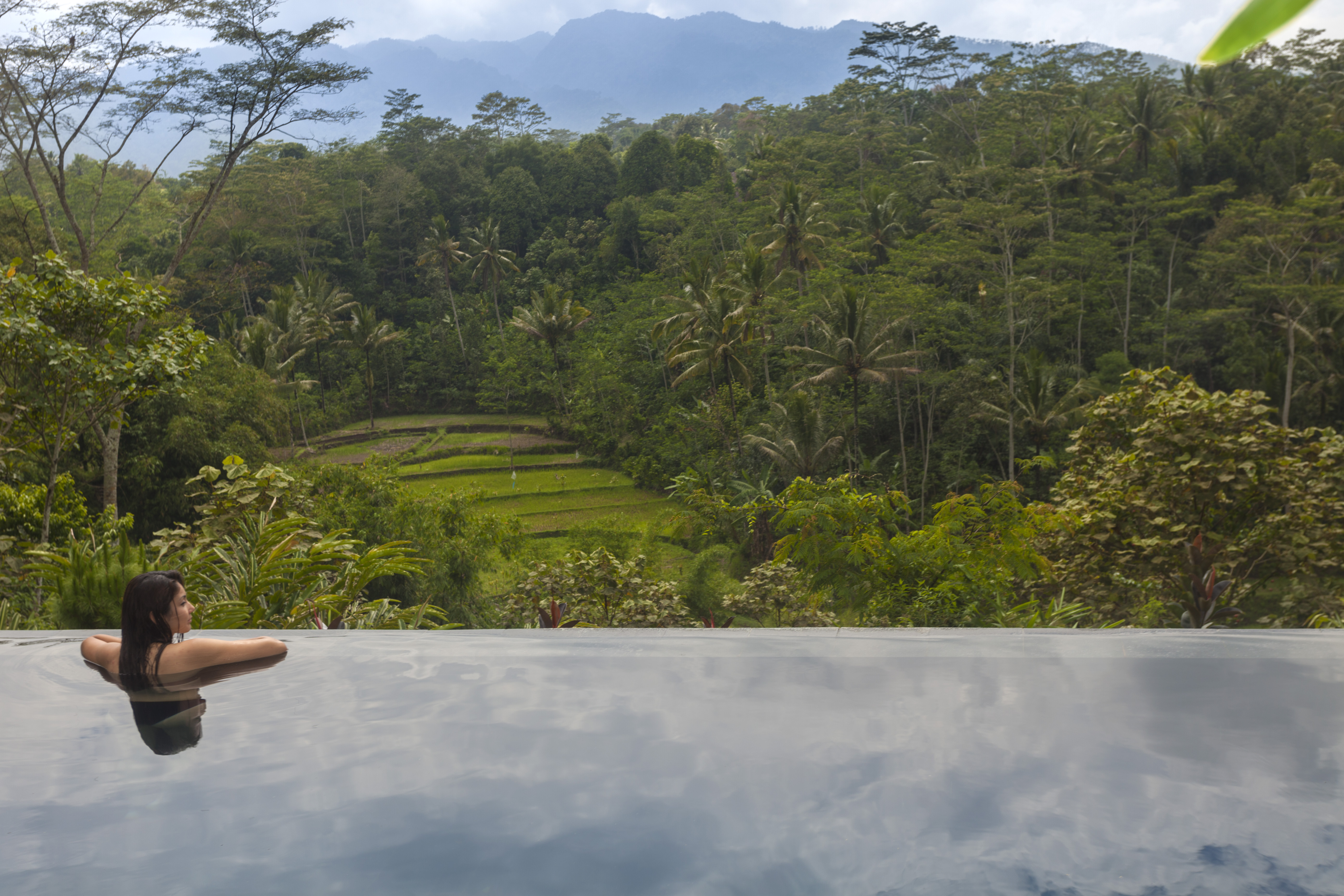 Xl Java Mesastila Bella Vista Villa Plantation View From Pool