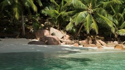 XL Seychelles Praslin Anse Lazio Seascape Sea Beach Palm Trees