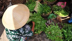 XL Hoi An Hat Woman Market Vegetables Vietnam