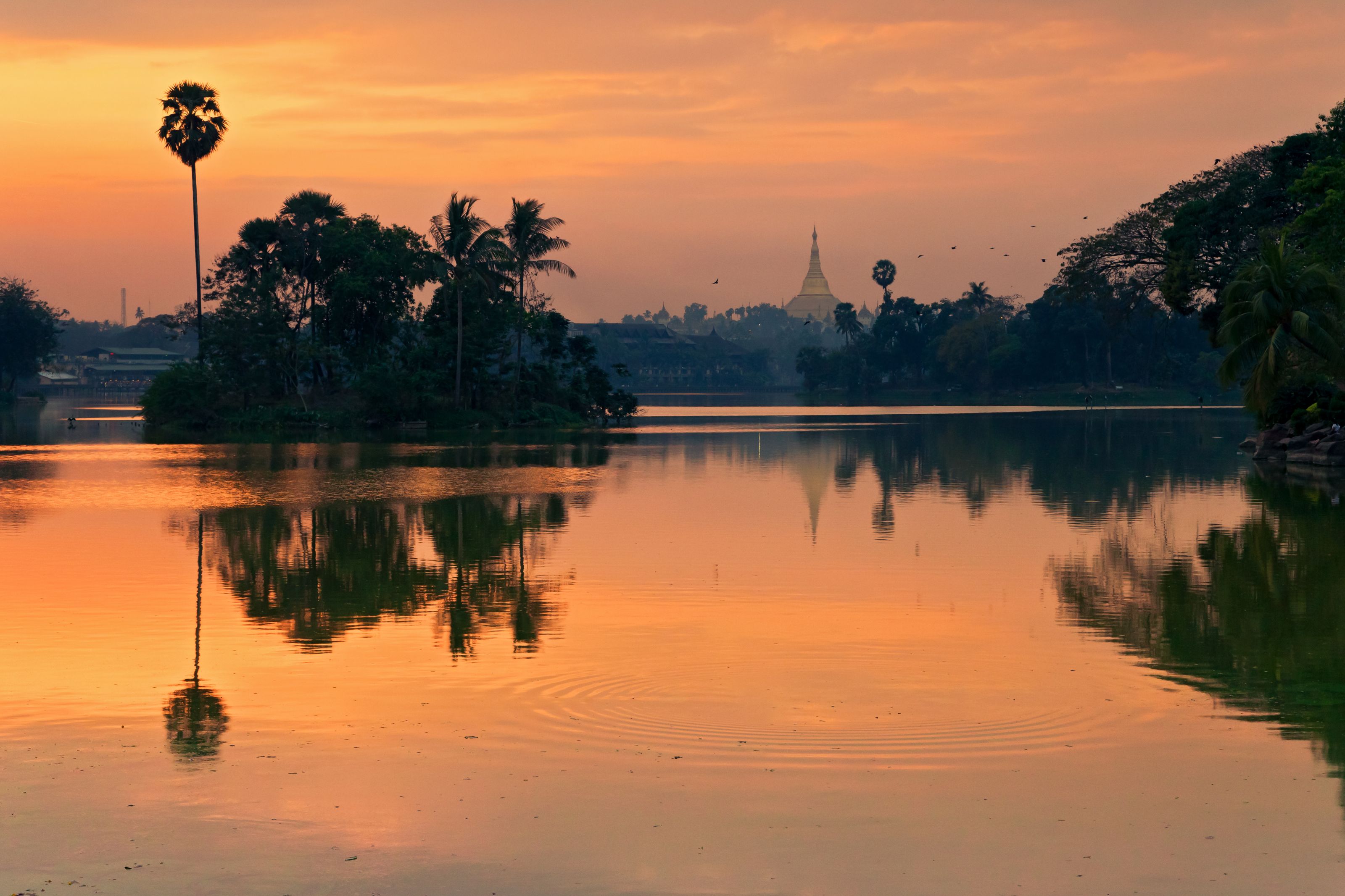 Xl Burma Yangon Shwedagon Paya Temple Sunset Myanmar