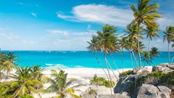 XL Caribbean Barbados Bottom Bay With Palms Sea And Beach