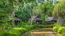 Xl Borneo Sepilok Nature Resort Area