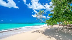 XL Caribbean The Dominican Republic Beach Playa Rincon Near Las Galeras