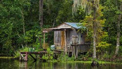 Xl USA Louisiana Swamp Old House New Orleans