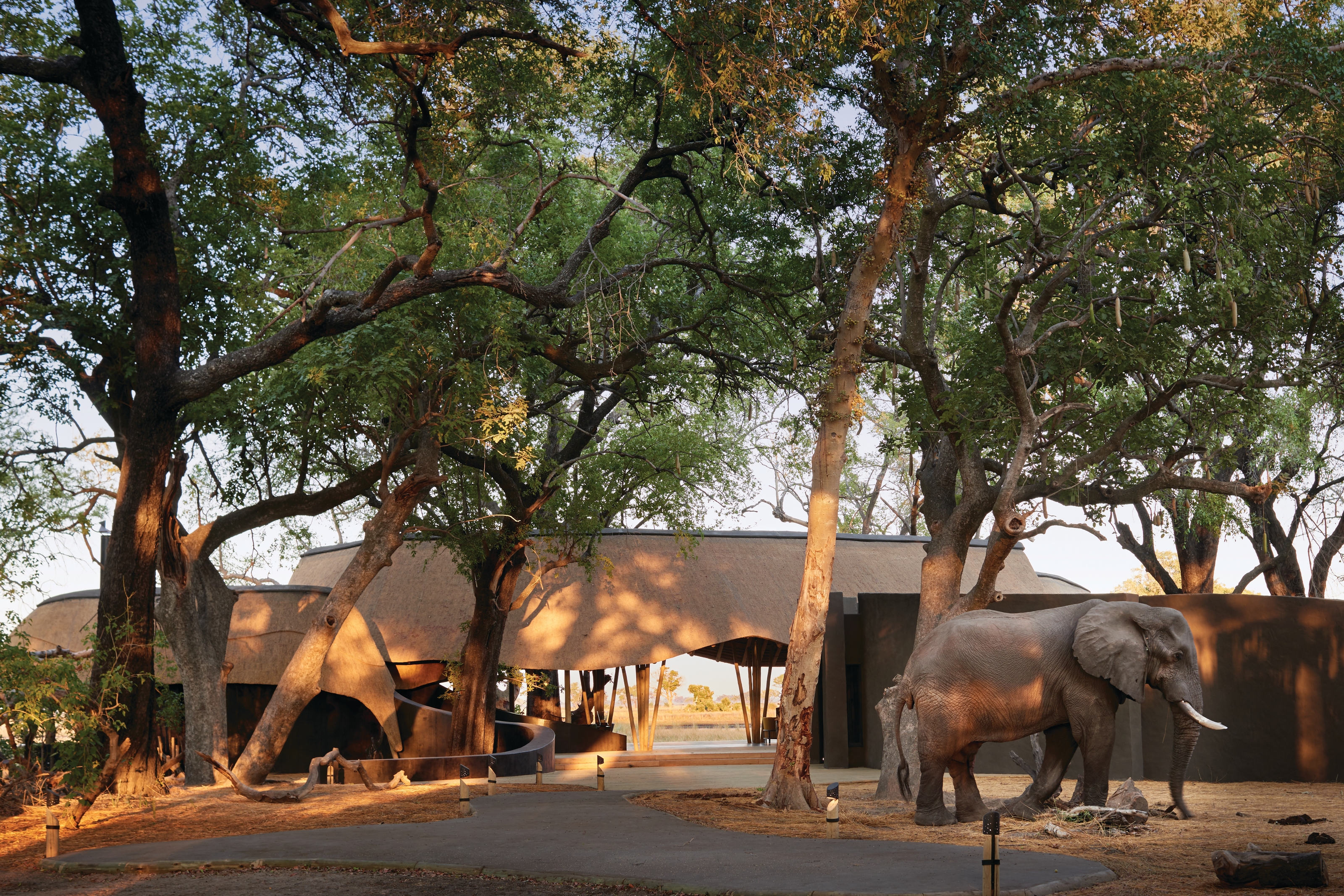 XL Botswana Belmond Eagle Island Lodge Hero
