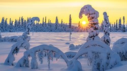 XL Finland Lapland Winter Snow Sunset