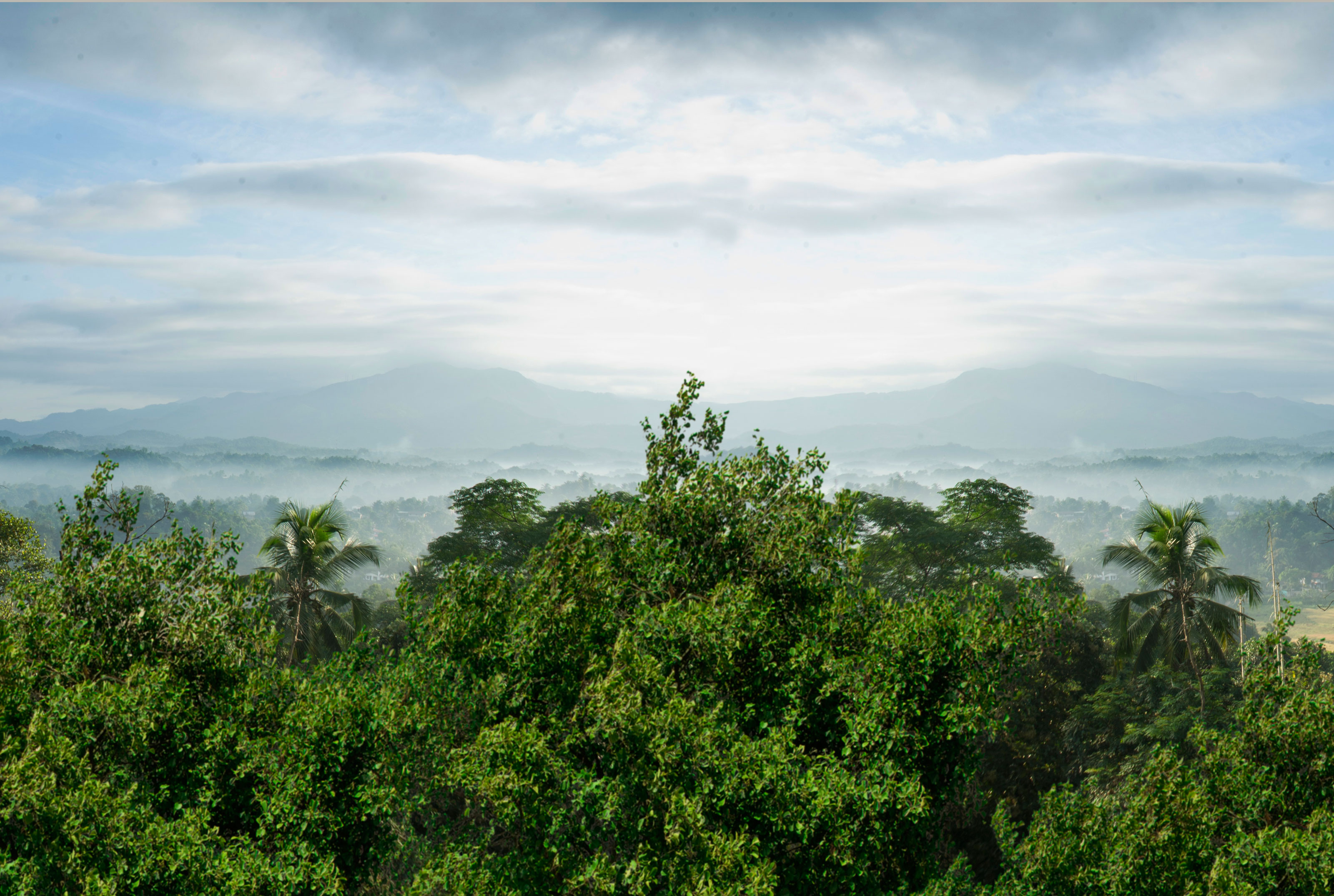Xl Sri Lanka Hotel Elephant Stables View From Hotel