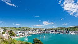 XL View Mount Victoria Bay Of Wellington Capital City New Zealand