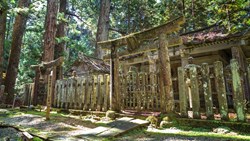 XL Japan Koyasan Okunoin Temple With Graveyard